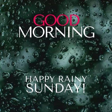 Sunday Rainy Day Quotes, Sunday Rainy Morning Quotes, Rainy Sunday Morning Quotes, Happy Rainy Day Good Morning, Happy Rainy Sunday, Rainy Morning Quotes, Rainy Sunday Morning, Good Morning Rain, Rainy Good Morning