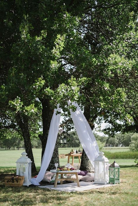 Picnic Wedding Ceremony, Campground Decor, Picnic Wedding Ideas, Summer Picnic Desserts, Bridgerton Garden, Picnic Luxury, Anniversary Picnic, Elopement Picnic, Picnic Business