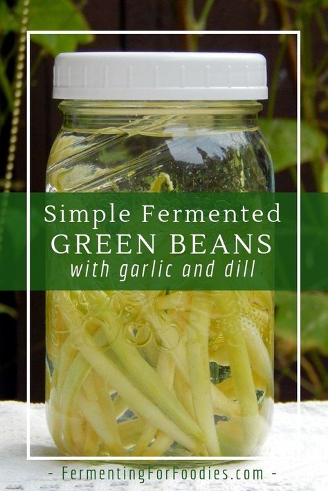 Fermented Green Bean with Garlic and Dill. Making fermented green bean pickles is really simple. It takes less than 10 minutes to prepare. Green bean pickles are delicious as a snack, with a barbecue, picnic or salad. Green Bean Pickles, Preserve Green Beans, Preserving Green Beans, Fermented Green Beans, Fermented Vegetables Recipes, Delicious Green Beans, Zucchini Relish, Fermented Veggies, Garlic Green Beans