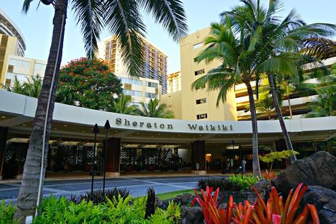 Sheraton Waikiki Hotel, Honolulu International Airport, Sheraton Waikiki, Sheraton Hotel, Waikiki Hotels, 26th Birthday, Sand Sculptures, Kid Pool, Cool Pools