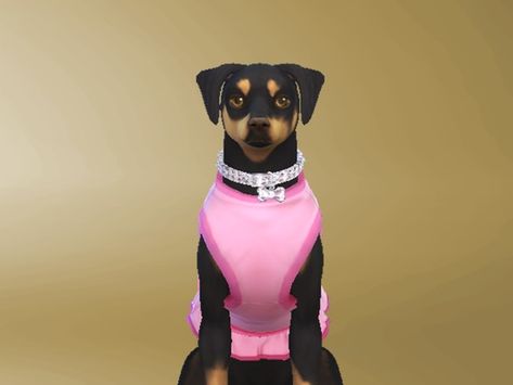 Necklace diamond of dog small. Found in TSR Category 'Sims 4 Dogs Accessories' Sims 4 Cc Dog Clothes, Sims 4 Pet Cc Clothes, Sims 4 Pet Stuff, Sims 4 Dog Cc, Sims 4 Pink Cc, Sims 4 Dog, Sims 4 Pet Cc, Big Dog Collars, Sims Pets