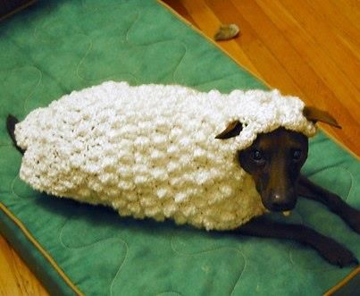 Knitted Shaun the Sheep costume for a black dog! Funny Dog Clothes, Crochet Sheep, Sheep Clothing, Knitting Humor, Knitted Wit, Theme Halloween, Dog Runs, Dog Costumes, Dog Costume