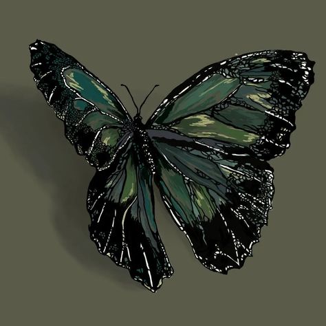 Green Butterfly Drawing, Emerald Green Asthetics, Green Butterfly Aesthetic, Butterfly Pfp, Emerald Green Butterfly, Jjba Aesthetic, Emerald Butterfly, Butterfly Symbolism, Twisted Lies