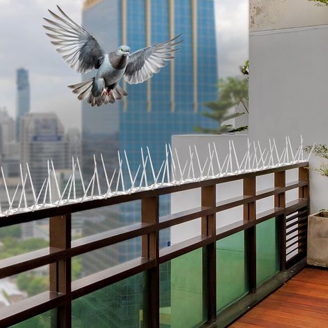 Amazon Brand - Solimo Bird and Pigeon Control Spikes | Weather Resistant | 13 in x 1 in x 3.7 in | Maintenance-Free (10 Pcs) M.R.P.: ₹350 -29% Offer Price - ₹249 Click the link to buy https://amzn.to/4eUSRMc #birdspike #birdcontrolspikes #amazonproducts #homegadgets #appliancessafety Bird Control, Shopping Haul, Instagram Shopping, R P, M R, Large Appliances, Home Gadgets, Pigeon, Outdoor Storage