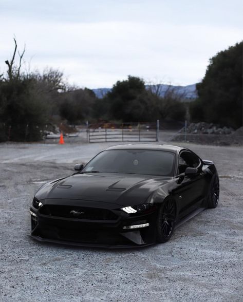 Ford Mustang Matte Black, Black Mustang Aesthetic, Dark Horse Mustang, All Black Mustang, Matte Black Mustang, Mustang Aesthetic, Fort Mustang, Old Mustang, Black Mustang Gt