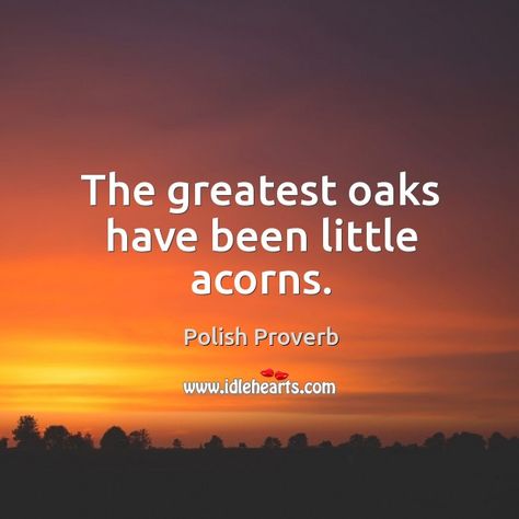 The greatest oaks have been little acorns. - Polish proverb Polish Proverb, Polish Heritage, Famous Quotes, Proverbs, Favorite Quotes, Quotes, Quick Saves