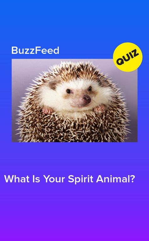 https://www.pinterest.com/pin/523050944220363218/ #quiz #quizzes #buzzfeed #triviaquestionsandanswers #quizzesbuzzfeed #trivia #quizzesforfun #funquiz #spiritanimal What Is My Spirit Animal, Spirit Animal Test, Spirit Animal Quiz, Whats Your Spirit Animal, Find Your Spirit Animal, What Animal Are You, Animal Quiz, Play Quiz, Spiritual Animal