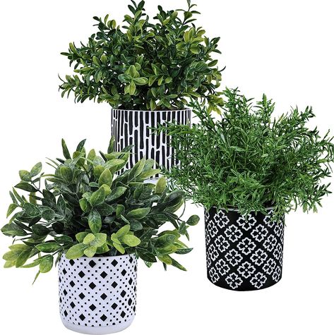 Premium Set of 3: This package includes 1 artificial potted eucalyptus, 1 faux potted rosemary, and 1 faux potted boxwood, each nestled in a unique black and white geometric concrete planter, perfect for enhancing any space with a natural and relaxing ambiance. Potted Rosemary, Windowsill Decor, Bathroom Plants Decor, Office Decor Workplace, Best Bathroom Plants, Potted Boxwood, Black Plants, Window Sill Decor, Artificial Plants Indoor