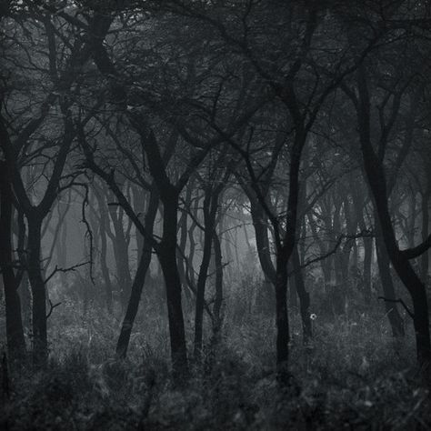 I'll be touring the #BlackForest October/November 2013. 'Bringing back eerie tales! 숲 사진, Dark Naturalism, Foggy Forest, Mystical Forest, Mysterious Places, Dark Places, Dark Photography, Dark Forest, Black Forest