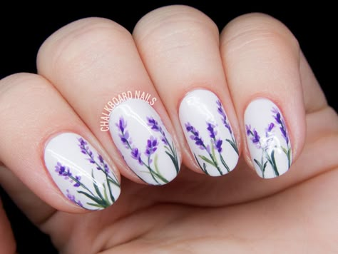 Delicate lavender blossoms by @chalkboardnails                                                                                                                                                      More Easter Nail Art Designs, Chalkboard Nails, Unghie Nail Art, Lavender Nails, Floral Nail Designs, Flower Nail Designs, Floral Nail Art, Nail Art Wedding, Spring Nail Art