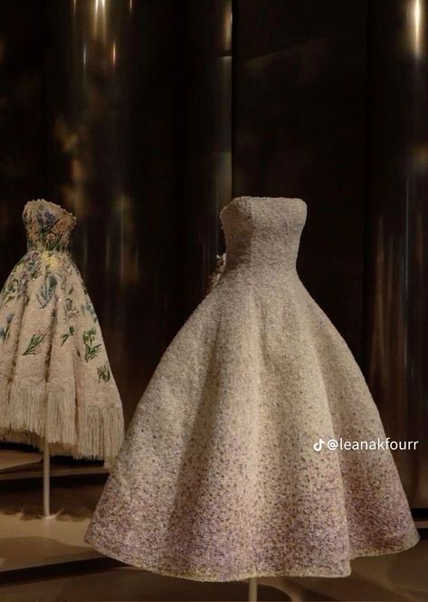 Dior Dresses Elegant, Caffe Design, Magic Library, Things To Do In Colorado, Kelly Hermes, Dior Dresses, Dior Gown, Colorado Living, Fashion Dream Job