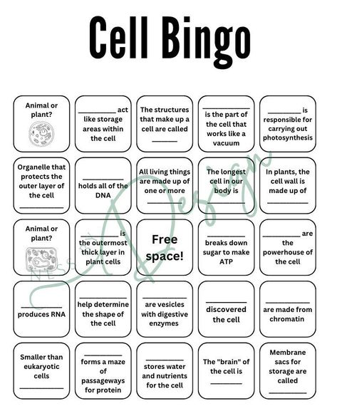 Printable BINGO worksheet for Science and Biology unit cell structure and function grade 8 and grade 9. Cell Structure & organelles bingo card with cell, cytoplasm, organ, cell membrane, nucleus, chloroplast, vacuole, cell wall and animal cell and plant cell. Science unit test preparation and study resource. Unit review game worksheet. Make learning fun with 2 different templates with the same questions for some variety! Cell Activities, Cell Structure And Function, Teaching Cells, Biology Games, Game Worksheet, Cell Science, Biology Activity, Science Cells, Cells Worksheet