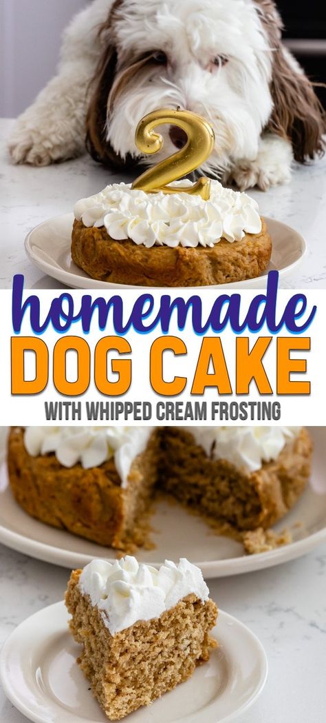 Celebrate your pup with a homemade dog cake for her birthday! This easy cake recipe is perfect for dogs with peanut butter and applesauce and whipped cream frosting. Your pup will love it! #recipe #easy #homemade #birthday #puppy Homemade Dog Cake, Dog Birthday Cake Recipe, Easy Cake Recipe, Dog Cake Recipes, Birthday Puppy, Cake For Her, Dog Biscuit Recipes, Easy Dog Treats, Healthy Dog Treats Homemade