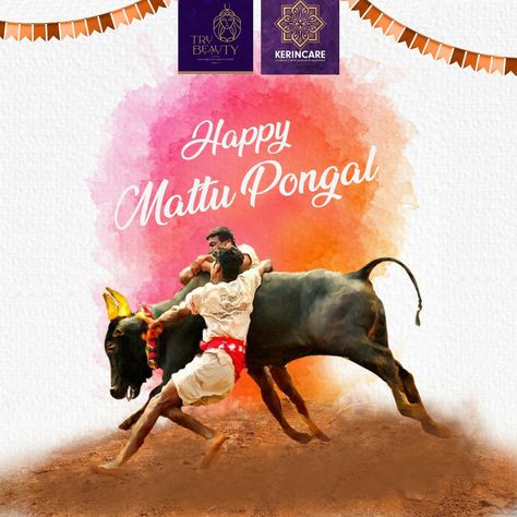 Sending you warm greetings and lots of good luck on the occasion of Mattu Pongal🌼 May you are showered with the best of the blessings of Almighty✨


.
#mattupongal #mattupongal🐂 #mattu #pongal #pongalopongal #pongalwishes #pongalrangoli #pongalcelebration #celebrations #celebrations🎉 #festival #festivalseason #festivalsofindia #🐂 #✨ #trubeauty #kerincare Mattu Pongal Images, Pongal Poster, Maatu Pongal, Happy Mattu Pongal, Pongal Festival Images, Mattu Pongal, Pongal Images, Pongal Festival, Pongal Celebration