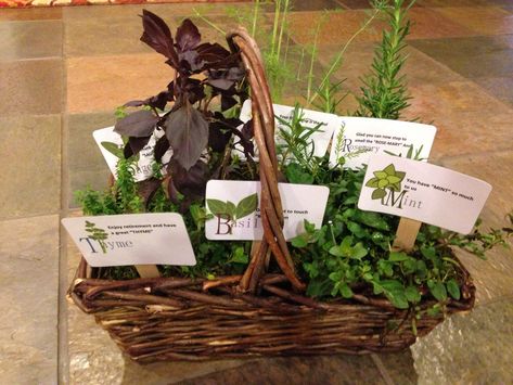 Retirement gift herb basket with puns on the labels. Thyme: Enjoy retirement and have a great "thyme." Dill: Your friendship is the real "dill". Mint: You have "mint" so much to us. Sage: Thank you for sharing your "sage" wisdom with us. Rosemary: Glad you can now stop to smell the "rosemary." Basil: Don't forget to touch "basil" often. Theme Retirement Party, Herb Basket, Retirement Gift Basket, Retirement Party Themes, Sage Wisdom, Enjoy Retirement, Retirement Gift Ideas, 50th Birthday Quotes, Retirement Party Ideas