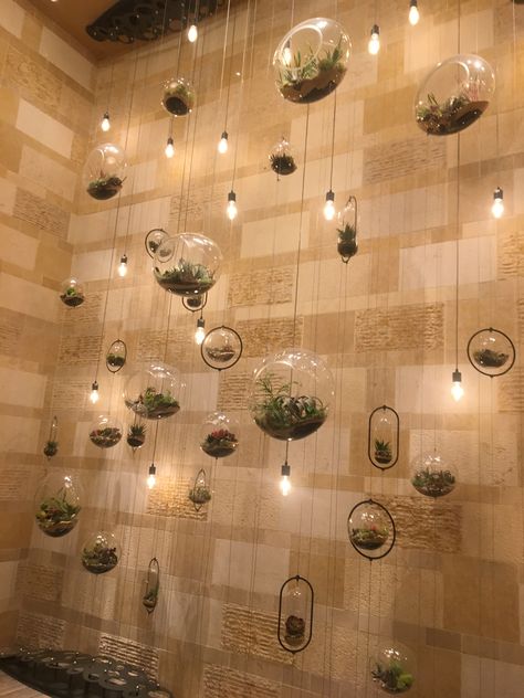 Terrarium wall Terrarium Wall Ideas, Wall Terrarium Ideas, Hanging Terrarium Ideas, Background Decoration Ideas, Hall Decoration Ideas, Terrarium Wall, Spa Wall Decor, Wall Terrarium, Hall Decoration