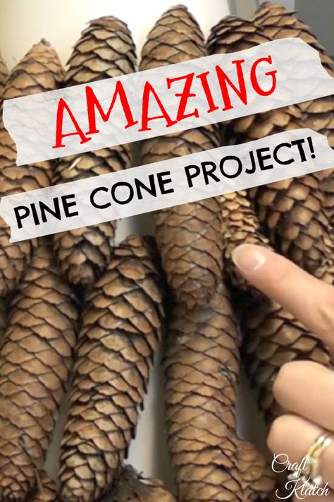 finger pointing to pine cones for a Christmas tree craft Giant Pine Cones Decorating Ideas, Pinecone Christmas Tree Diy, Pine Cone Trees Diy, Pine Cone Craft, Giant Pine Cones, Pinecone Christmas Tree, Pine Cone Tree, Small Pine Cones, Pinecone Crafts Christmas