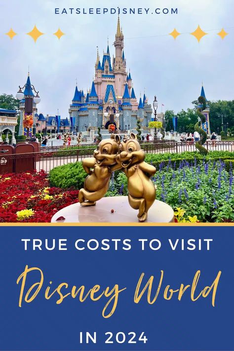 Revealed: How Much Does It Really Cost to Go to Disney World in 2024? Cruise Excursions, Water Parks, Disney Travel, Cruise Destinations, Disney Resorts, Adventures By Disney, Disney World Tips And Tricks, Disney Tips, Disney World Trip