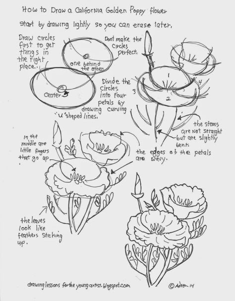 A free drawing worksheet. See more at my blogger. http://drawinglessonsfortheyoungartist.blogspot.com/ How To Draw A California Poppy, Golden Poppy Drawing, California Golden Poppy, Drawing Worksheet, Plants Drawings, Golden Poppy, How To Draw Flowers, Free Drawing, California Poppies