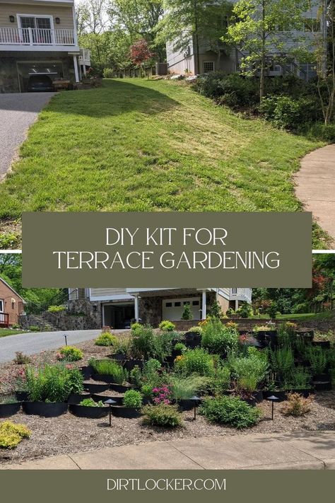 before and after pictures of a hillside terrace garden Terraced Garden Beds Sloped Yard, Terrace Garden Ideas, Outdoor Gardens Landscaping, Sloped Backyard Landscaping, Sloped Yard, Side Yard Landscaping, Sloped Backyard, Backyard Garden Landscape, Landscaping Retaining Walls