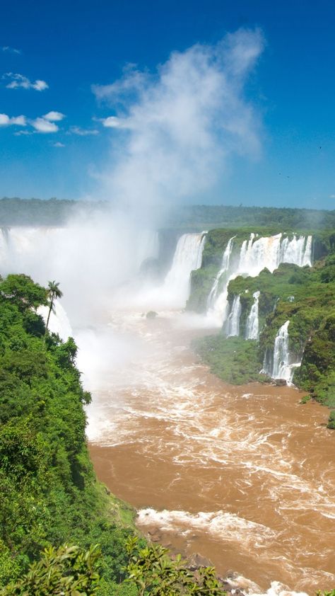 The falls are located in the Iguaçu National Park in the state of Parana, #Brazil, and in the Iguazu National Park in the province of Misiones in #Argentina. Visiting the #IguazuFalls is a unique experience and to have the full experience you’ll have to visit both sides of the falls. Check out our complete travel guide and start planning your trip. Parana Brazil, Iguazu National Park, Moodboard Ideas, Iguazu Falls, Plan Your Trip, Niagara Falls, Best Hotels, South America, Travel Guide