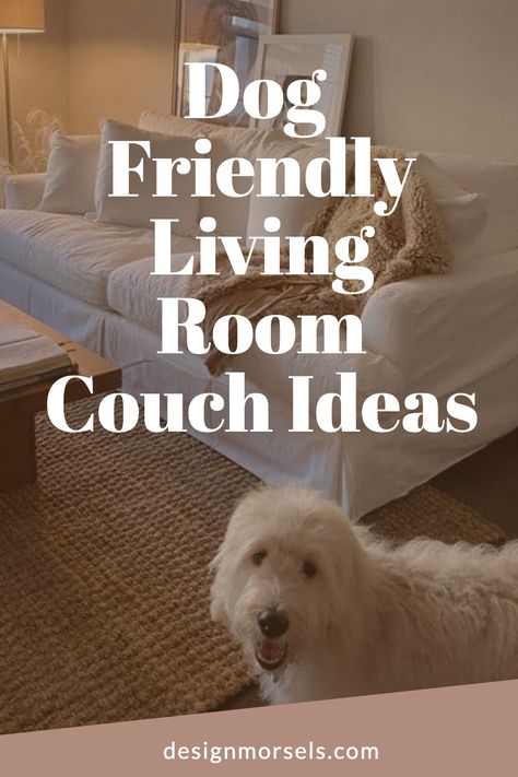 Dog Friendly Living Room Couch Ideas Living Room With Pets, Pet Friendly Home Ideas, Pet Proof Couch, Dog Friendly Living Room Ideas, Dog Friendly Living Room, Room Couch Ideas, Living Room Couch Ideas, Pet Friendly Living Room, Creative Living Room Ideas