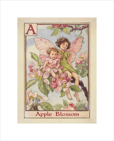 Apple Blossom Flower, Illustration Kunst, Unicorn Princess, Fairy Illustration, Fairy Pictures, Cicely Mary Barker, Vintage Fairies, Flower Fairies, Tree Illustration