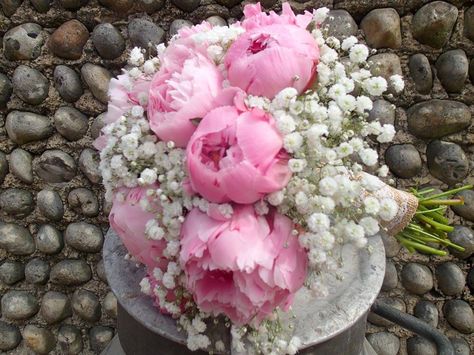 peonie and gypsophila handtied bouquet Winter Aesthetic, Flower Boxes, Peonies, Floral Wreath, Wedding Flowers, Flowers, Plants