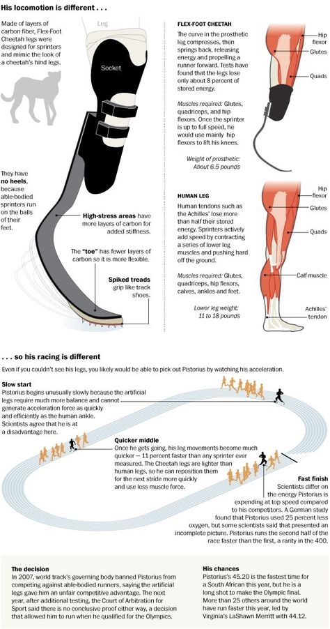 Prosthetic Leg Types, Prothstetics Leg, Prostethics Leg, Leg Prosthesis, Amputee Model, Orthotics And Prosthetics, Oscar Pistorius, Prosthetic Leg, Industrial Design Sketch