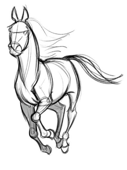 Concept Design Sketches - The Art of David Boudreau ★ Find more at http://www.pinterest.com/competing Pony Sketches To Draw, Movement Art Drawing Ideas, Horse Character Illustration, Spirit Horse Drawing Base, Galloping Horse Drawing, Horse Base Drawing, How To Draw Horse, Horse Drawing Simple, Horse Concept Art