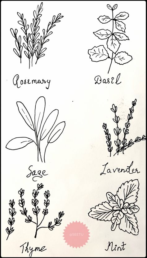 Herbs Embroidery Patterns, Herb Drawings Simple, Herb Doodles, Greenery Doodles, Herb Drawings, Garden Doodles, Witchy Doodles, Cooking Tattoo, Bison Tattoo