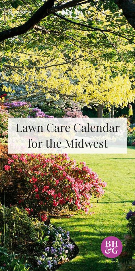 Landscaping Makeover, Fence Backyard, Legal Templates, Lawn Care Schedule, Yard Drainage, Aerate Lawn, Policy Template, Lawn Care Tips, Lawn And Landscape