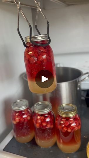 Cranberry Concentrate Recipes, Canning Fruit Juice, Canned Cranberry Juice, Canning Cranberry Juice, Cranberry Juice Recipes, Canning Cranberry, Preserved Food, Homestead Recipes, Canned Cranberries