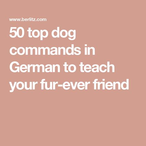 50 top dog commands in German to teach your fur-ever friend German Dog Commands, Dog Training Commands, Police Dog Training, Baby Voice, Dog Commands, Dog German, German Dog, German Dogs, Most Popular Dog Breeds