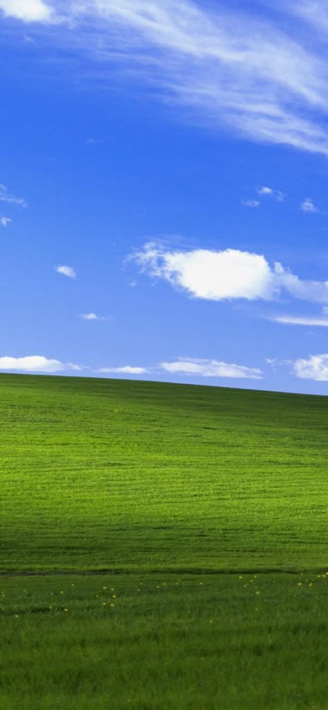 Windows Xp Wallpaper, Oneplus Wallpapers, Computer Wallpapers, Hd Wallpaper 4k, Windows Wallpaper, Backgrounds Phone, Wallpaper Android, Wallpaper Dekstop, Best Iphone Wallpapers