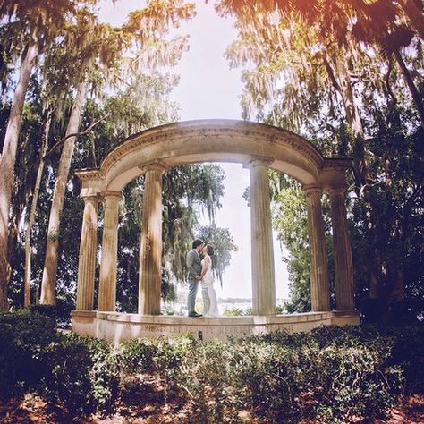 Kraft Azalea Gardens Elopement Packages | Elope To Orlando Kraft Azalea Gardens Wedding, Flowers Azalea, Light Pink Azaleas, Azaleas Garden, Wedding Spot, Elopement Ceremony, Garden Wedding, Orlando, Got Married