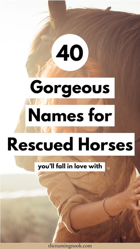 Looking for a gorgeous and unique rescue horse name? We’re sharing beautiful names for rescue horses. Whether you’re looking for a unique, western, cute, elegant, or strong horse name for mares or male horses, you’ll find the perfect unique rescue horse name! elegant horse name ideas Cute Horse Names, Unique Horse Names, Names For Horses, Horse Name Ideas, Rescue Horse, Cute Animal Names, Western Names, Male Horse, Elegant Horse