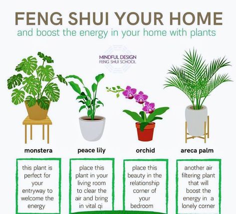 Feng Shui Basics, Feng Shui Plants, How To Feng Shui Your Home, Healing Symbols, Feng Shui House, Feng Shui Decor, Plant Care Houseplant, Spiritual Journals, Feng Shui Tips