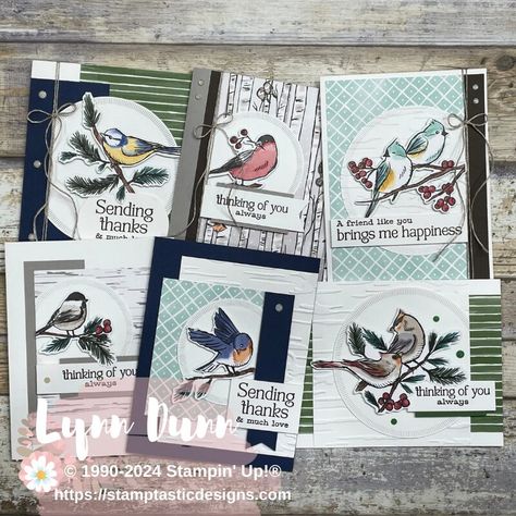 Winter Card Ideas, Cards With Birds, Simple Card Ideas, Stamptastic Designs, Christmas Card Tutorials, Stampin Up Christmas Cards, Stampin Up Christmas, Designer Series Paper, Card Making Tutorials