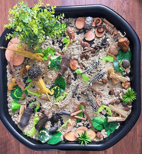 African Savanna 🦓 - Small world play - Exploring animal habitats - Sand and sensory play - Developing imagination 🦓 Base is Smooshy sand in the shade Natural from @rainbowecoplay #tufftray #tufftrayideas #tufftrayactivities #tufftrayfun #tufftrayfun #tufftrayinspiration #tuffspot #tuffspotideas #playtray #playtrayideas #sensoryplay #sensoryactivity #eyfs #earlyyears #eytagteam #eyfsideas #letsshareourplay #inspiretheirearlyyears #funbudgetplay #learningwiththesmalls #playwithalbertand... Jungle Messy Play Ideas, Animal Tuff Tray, Africa Eyfs, Animals Eyfs, Animal Habitats Preschool, Science Table, Animal Activities For Kids, African Savanna, Tuff Spot