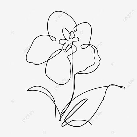 Jasmine Flower Outline, Line Drawing Flower, Wing Drawing, Abstract Line Drawing, Leaf Outline, Drawing Png, Remove Background From Image, Flower Outline, Outline Drawing