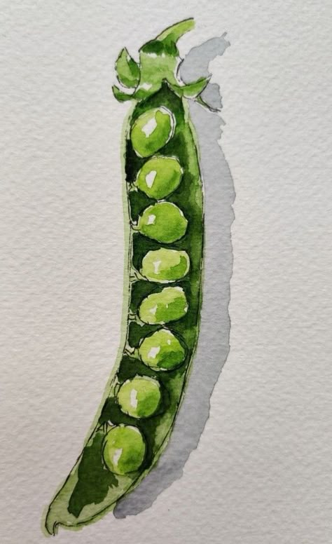 Vegetable Painting Watercolour, Watercolour Fruits And Vegetables, Watercolor Vegetables Simple, Vegetable Watercolor Paintings, My Pins Saved Boards Art, Vegetable Painting Ideas, Food Painting Watercolor, Drawings Of Vegetables, Watercolor Fruit Paintings