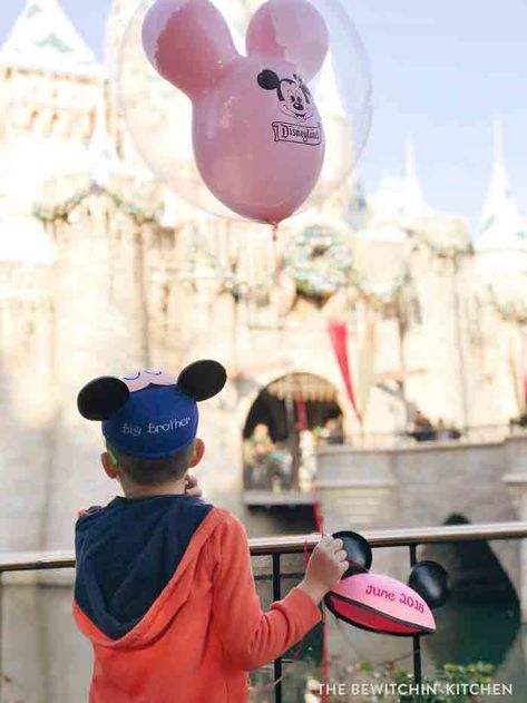 Disneyland Announcement, Disney Baby Announcement, Disney Pregnancy Announcement, Disney Gender Reveal, Fall Baby Pictures, Disney Maternity, Gender Reveal Announcement, Disney Balloons, Gender Announcements