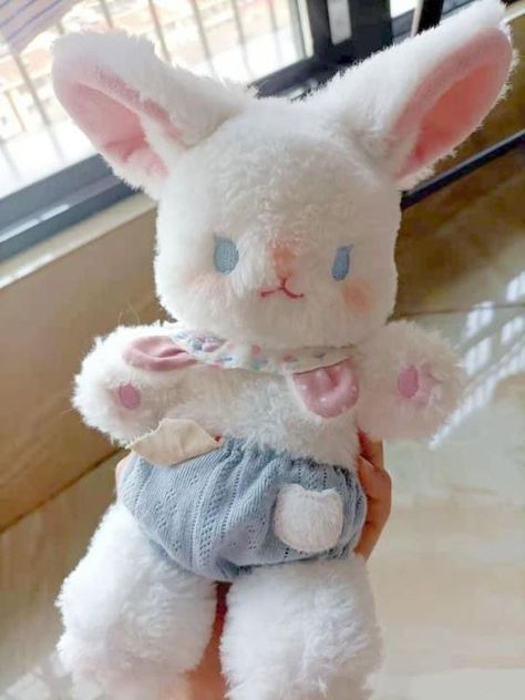 Cute Plush Toys, Cute Doll, Kawaii Plush, Kawaii Plushies, Cute Stuffed Animals, Cute Toys, Cute Plush, Cute Dolls, 귀여운 동물