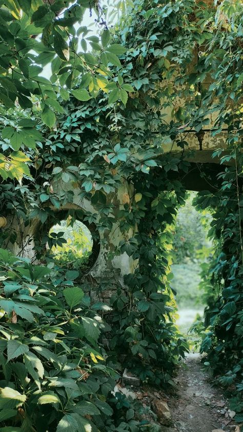 Overgrown Manor, Fantasy Places Secret Gardens, Green Castle Aesthetic, Overgrown Fountain, Elven Garden, Overgrown City, Forest Entrance, Overgrown Ruins, Forest Ruins