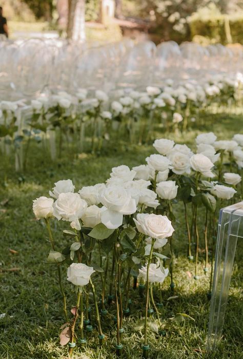 Wedding Isles, Decoration Vitrine, White Roses Wedding, Aisle Flowers, Walk Down The Aisle, All White Wedding, Wedding Aisle Decorations, Minimal Wedding, Ceremony Flowers