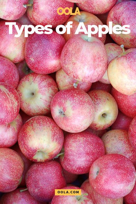 Types of Apples Types Of Apples Chart, Apple Chart, Types Of Apples, Type Chart, Apple Types, Abc Order, Apples, Healthy Food, Helpful Hints