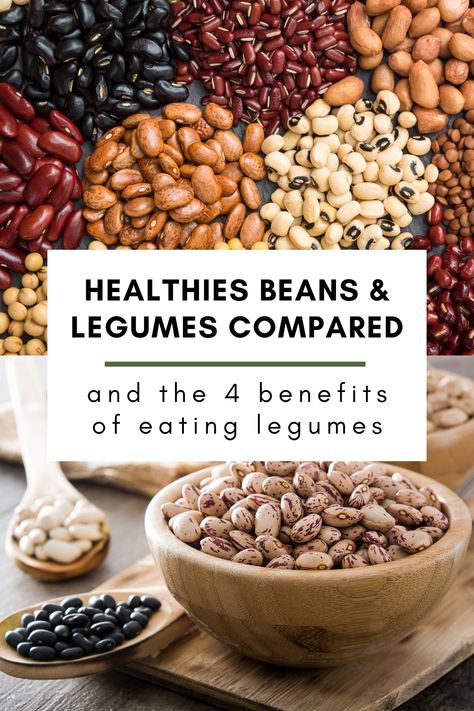 Before we compare the 11 healthiest beans and legumes let us tell you why we believe they are the healthiest food to date. If you are looking to build a healthy eating regimen, you must add legumes or beans to your diet. Discover the health benefits of eating beans and legumes. And check out this list of the healthiest beans and legumes compared. Healthiest Beans To Eat, Beans And Legumes Recipes, Healthiest Beans, Legumes List, Benefits Of Beans, Circulation Remedies, Health Benefits Of Beans, Bean Diet, Beans And Legumes