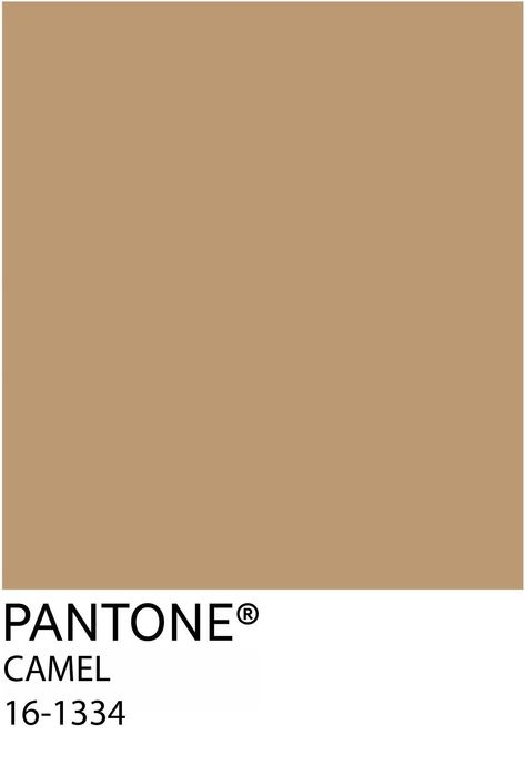 Pantone Tcx, Pantone Colours, Pantone Palette, Earthy Color Palette, Paint Colour, Perfect Palette, Color Analysis, Color Swatch, Earthy Colors