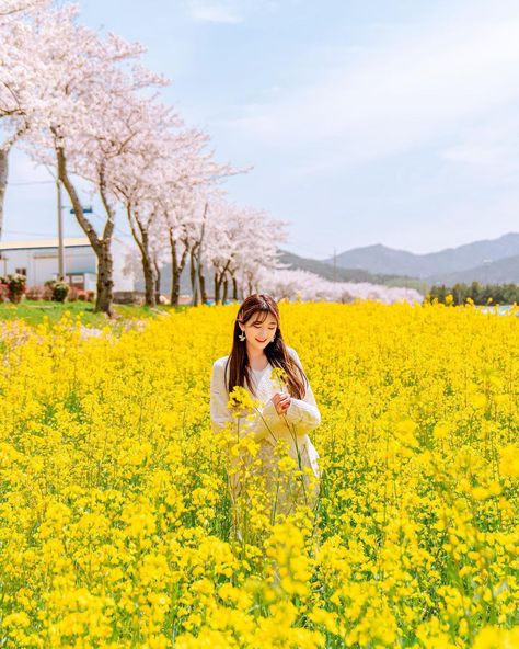 Field Of Yellow Flowers, Cute Quick Hairstyles, Flower Photoshoot, Nature Photoshoot, Bff Photoshoot Poses, Bff Photoshoot, Pic Pose, Cute Cartoon Pictures, Fields Photography